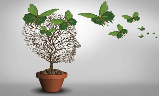 What are Different Types of Amnesia? Types of Amnesia