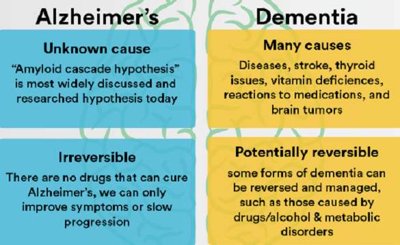 Differences between Alzheimers and dementia Alzheimers and dementia