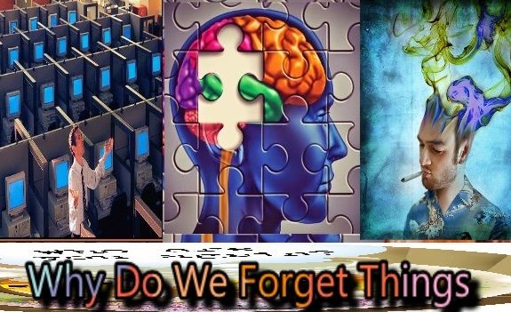 Why do we forget things memory and forgetting