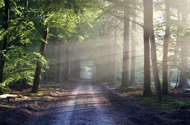 Database on Greenhouse emissions and environmental impact assessment Greenhouse gas emissions
