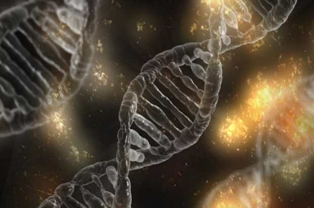 Scientists Discover How Antiviral Gene Works antiviral gene