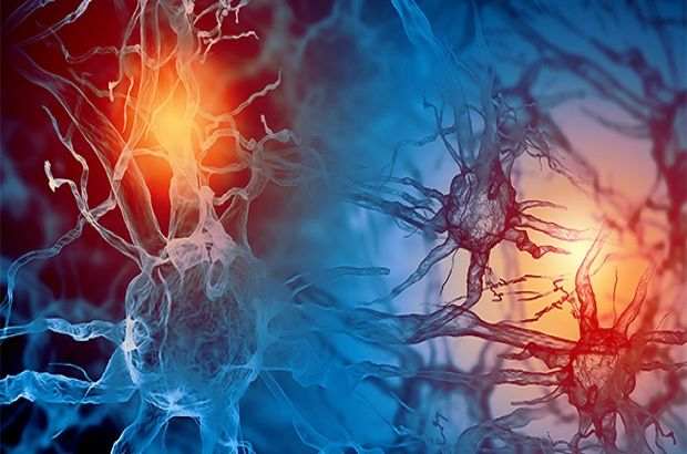 How do hormone interactions affect our health? Human Endocrine System