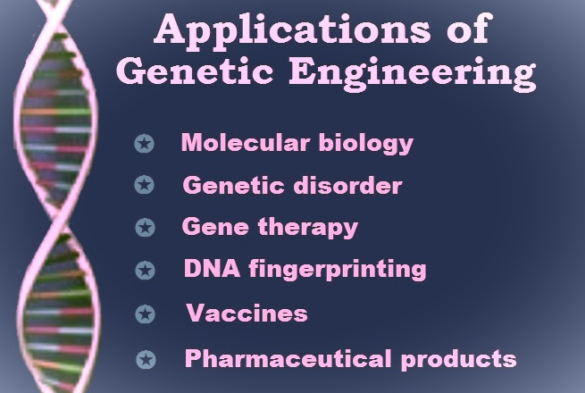 What are the Applications of Genetic Engineering? Genetic Engineering