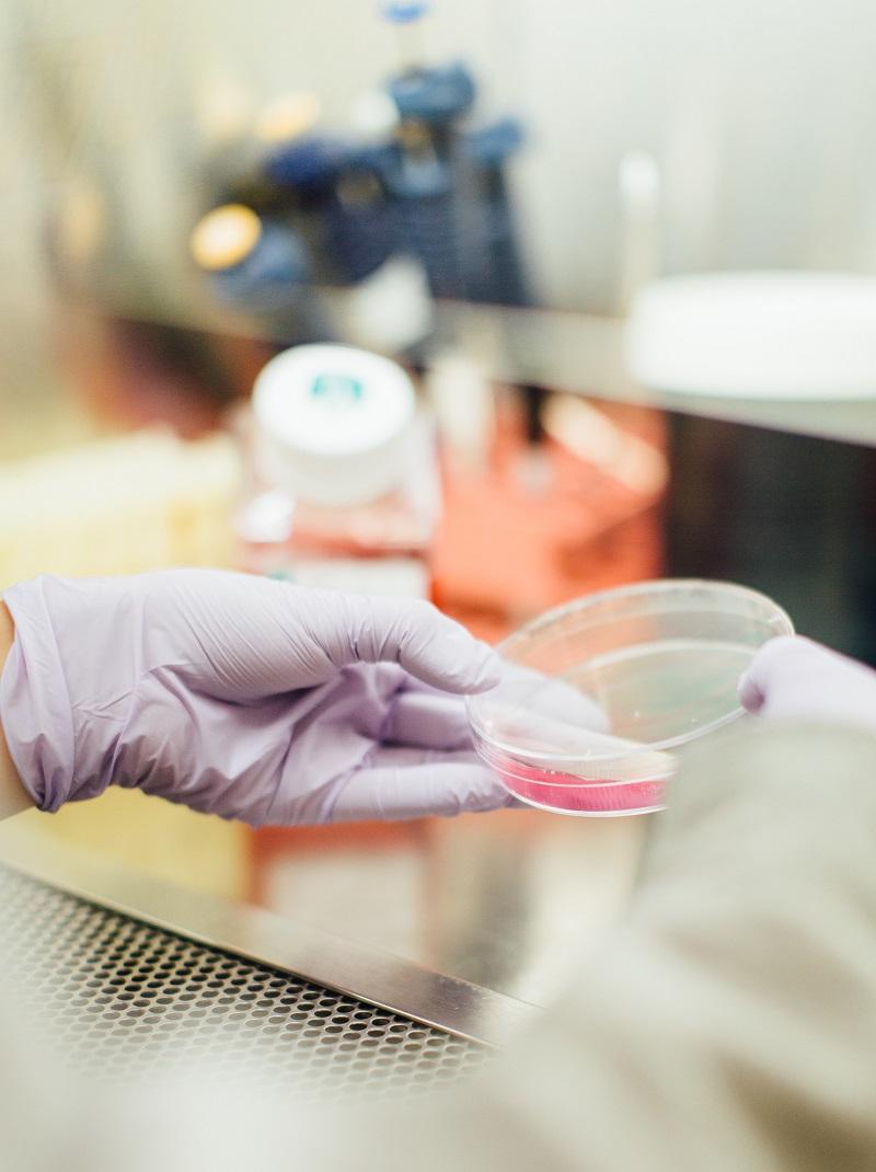 How to Make Synthetic Urine: A Detailed Guide How to Make Synthetic Urine