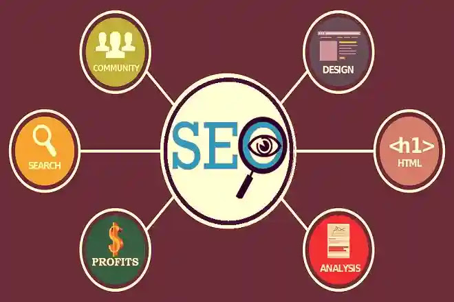 The Importance of Search Engine Optimization for a Business Importance of SEO